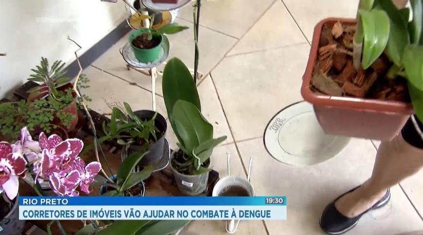 Rio Preto Corretores de imóveis de Rio Preto  vão ajudar no combate à  dengue