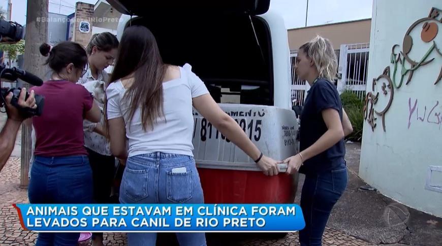 Animais que estavam em clínica foram levados para canil de Rio Preto