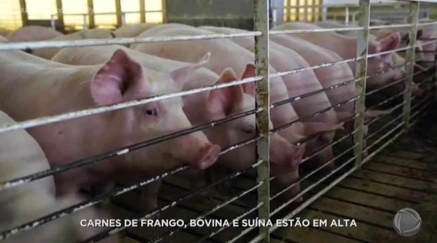 Brasil vai exportar carne bovina para os Estados Unidos o que eleva preço do frango e carne suína