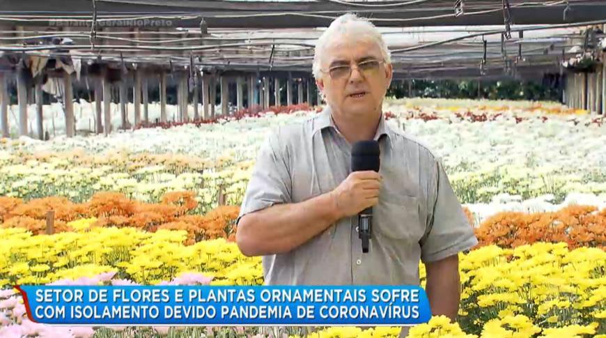 Setor de flores e plantas ornamentais sofre com isolamento devido pandemia de coronavírus