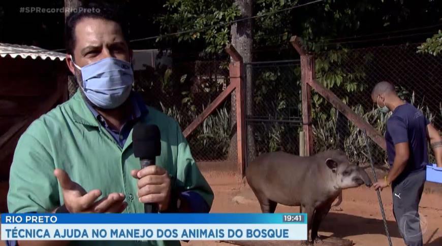 Técnica ajuda no manejo dos animais do bosque de Rio Preto
