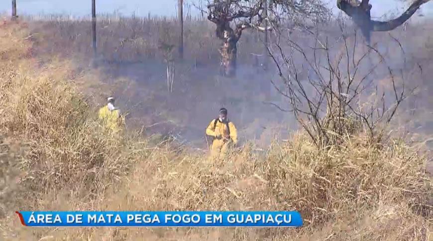 Área de mata pega fogo em Guapiaçu