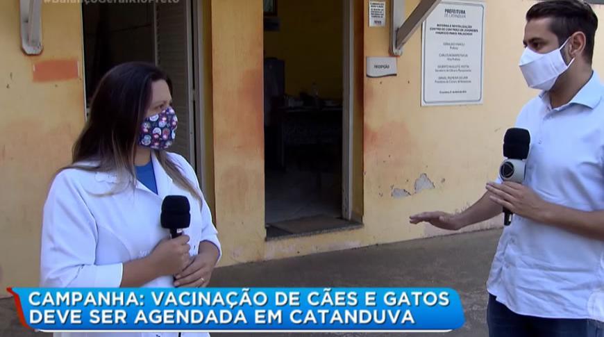 Campanha de vacinação de cães e gatos em Catanduva deverá ser agendada