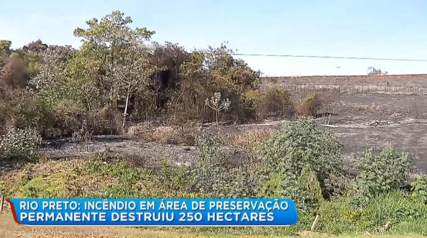 Incándio em área de preservação permanente destruiu 250 hectares