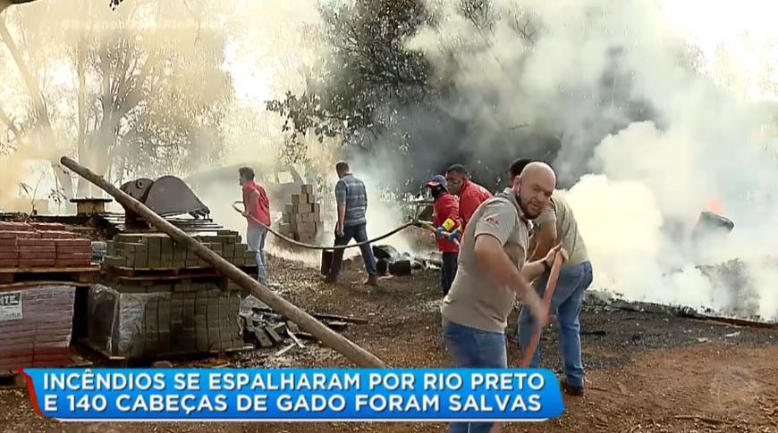 Voluntários que trabalhavam no combate a incêndios em Rio Preto salvaram 140 cabeças de gado