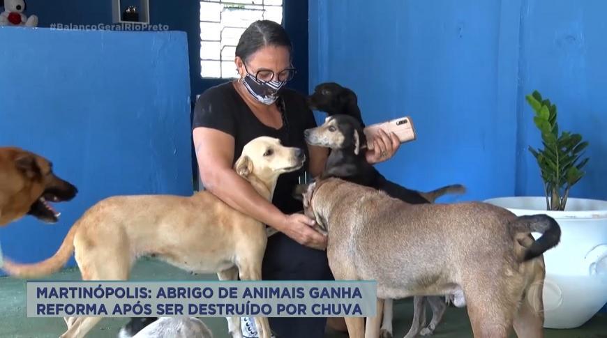 Abrigo de animais de Martinópolis ganha reforma