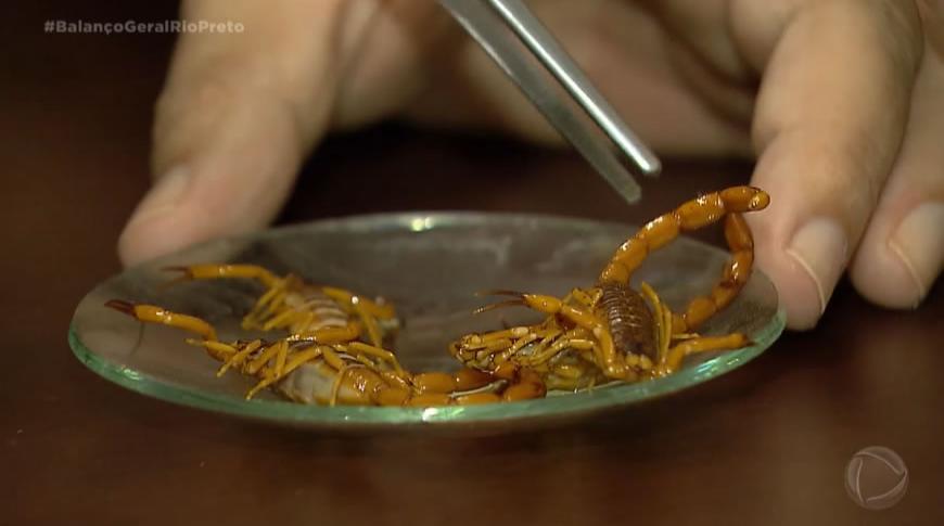 Moradores reclamam do aparecimento de escorpiàµes no bairro Solo Sagrado