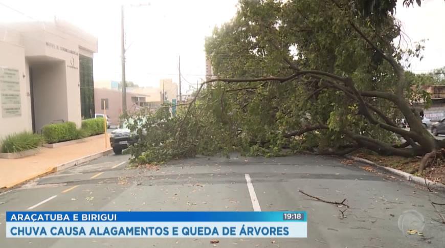 Chuva causa alagamentos e queda de árvores em Araçatuba e Birigui