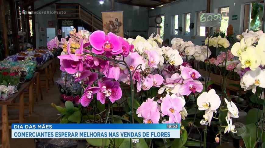 Comerciantes esperam aumento nas vendas de flores para o Dia das Mães