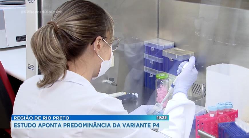 Estudo aponta predominância da variante P4 na região de Rio Preto