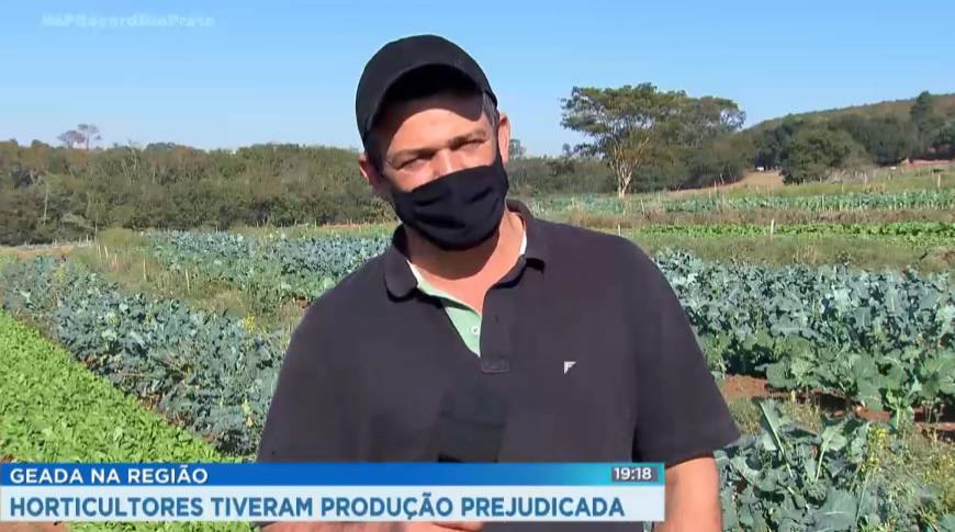 Horticultores tiveram produção prejudicada por geada  na região