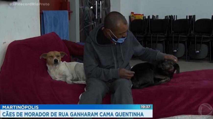 Em Martinópolis, cães de morador de rua ganharam cama quentinha