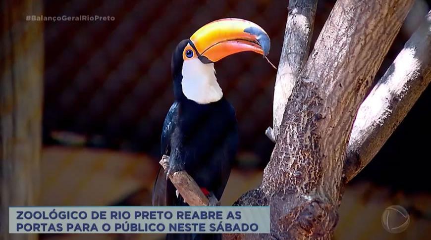Zoológico de Rio Preto reabre para o público