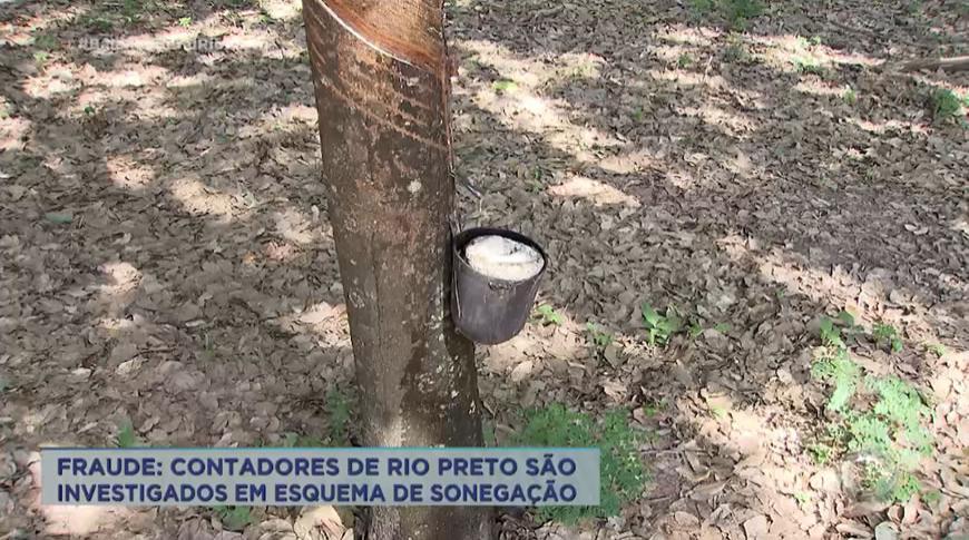 Contadores de Rio Preto são investigados em esquema de sonegação