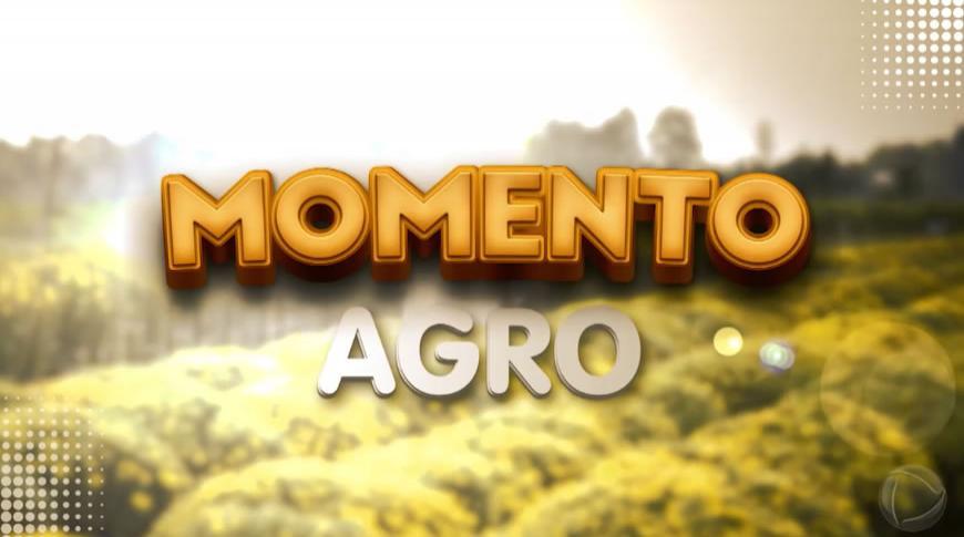 Momento Agro fala sobre crescimento da avicultura.