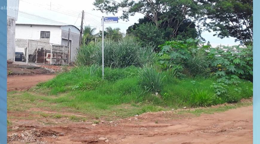 Flagrou tá na Record: Moradores de Catanduva reclamam de mato alto em bairro