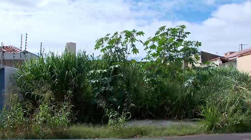 Moradores de Rio Preto reclamam de terreno abandonado no Jardim Nazaré