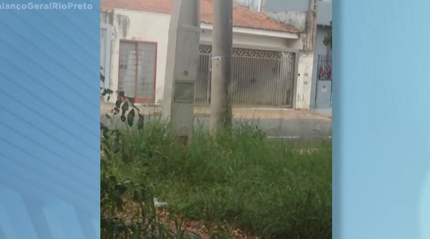 Flagrou tá na Record: Mato alto em praça de Rio Preto