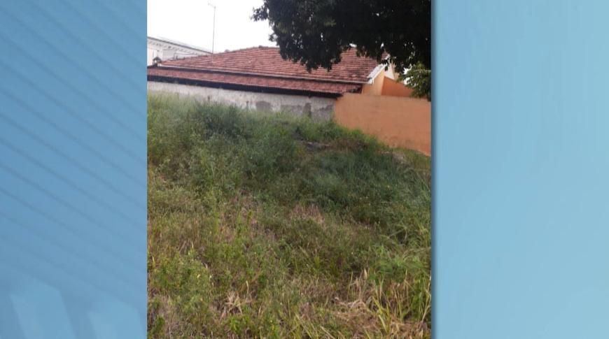 Flagrou tá na Record: Mato alto em terreno de Rio Preto