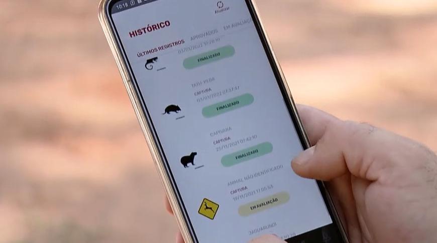 Sistema Urubu é um aplicativo criado para protege animais silvestres