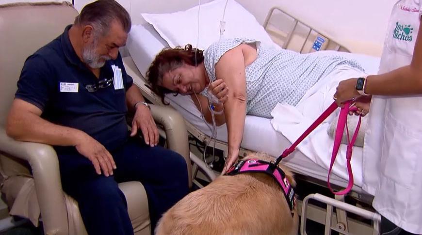 Hospital utiliza terapia assistida com cães