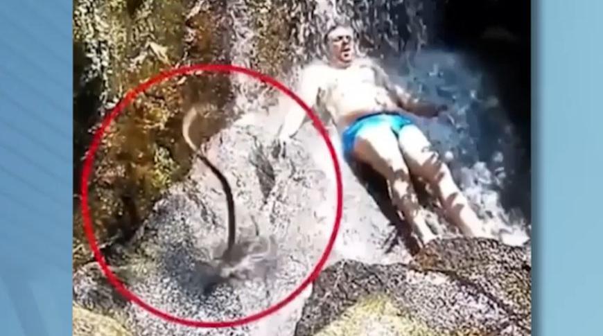 Flagrou tá na Record: Cobra despenca em cachoeira e banhista leva susto