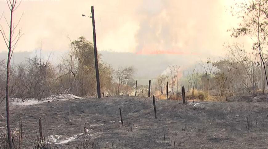 Incêndio controlado será usado em Rio Preto para proteger reservas