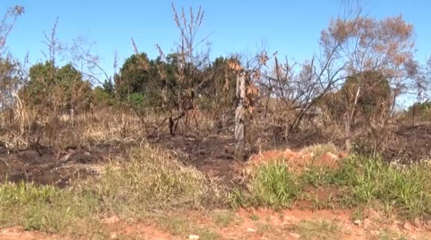 Tempo seco aumenta risco de incêndios em Prudente e Polícia Ambiental intensifica fiscalização