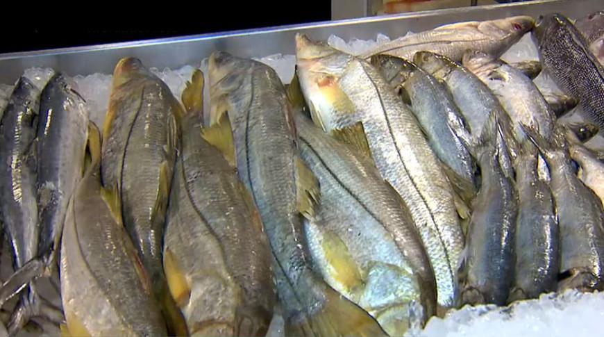 Vigilância Sanitária fiscaliza venda de pescados