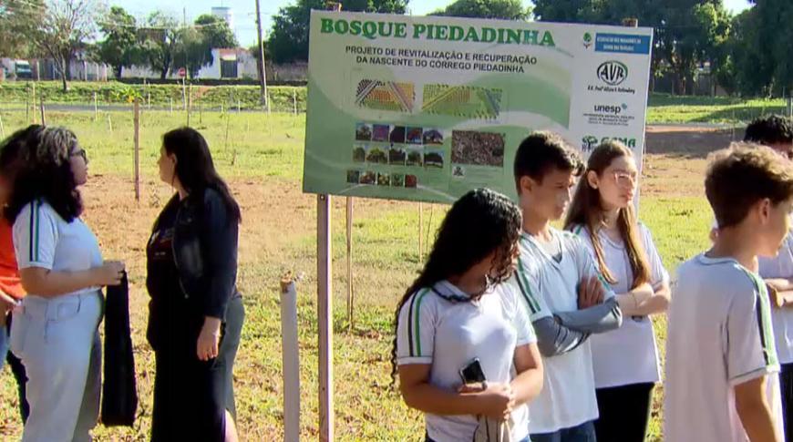 Estudantes de Rio Preto se destacam em olímpiada ecológica