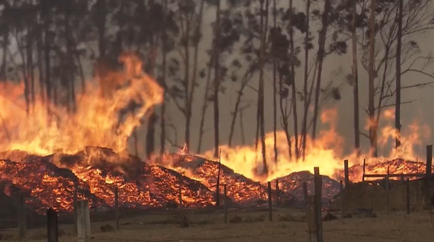 Tempo seco e queimadas aumentam em Rio Preto