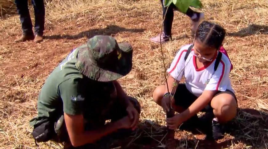 Alunos de Rio Preto plantam mudas de árvores na floresta estadual do município