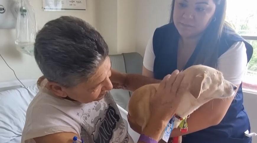 Hospital usa terapia assistida com animais