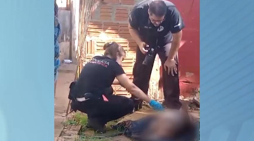 Polícia de Votuporanga investiga caso de cachorra morta perfurada com garfo