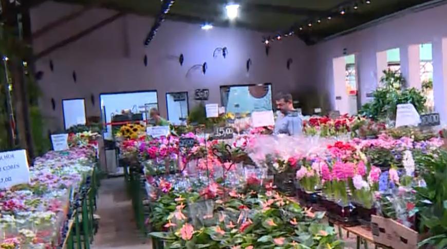 Ceagesp de Rio Preto espera vender 6% mais flores nesse dia das mães